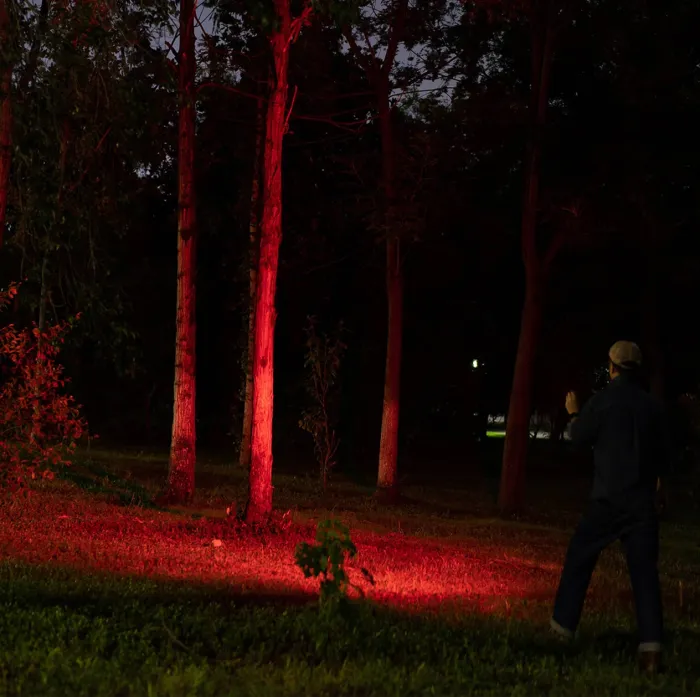 Ліхтар Olight Oclip Pro Zombie Green
